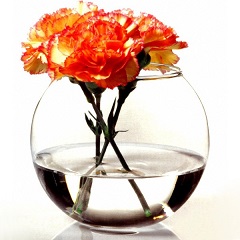 Flora