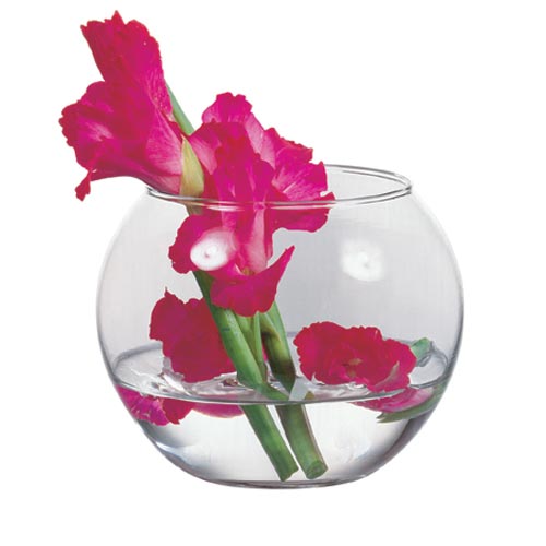 Flora