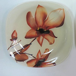 Orchids